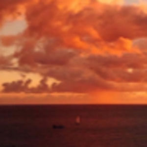 Meet your Posher, Ava